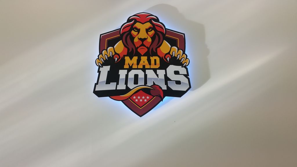 Mad Lions E.C.