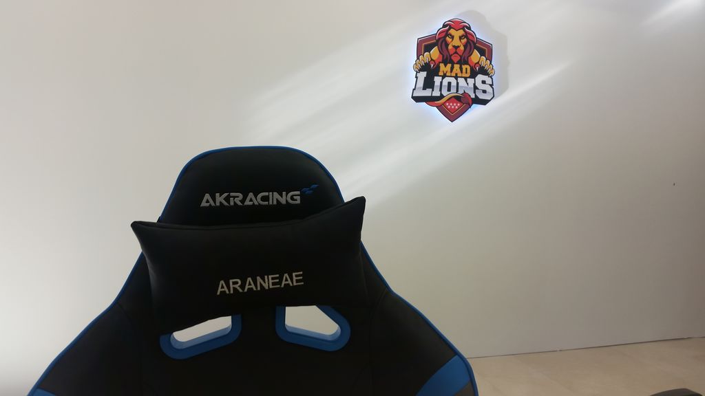 Mad Lions E.C.