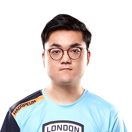 HaGoPeun.png