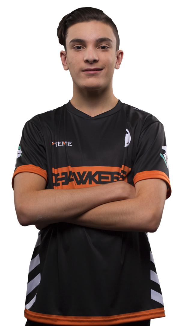 Plopski.png