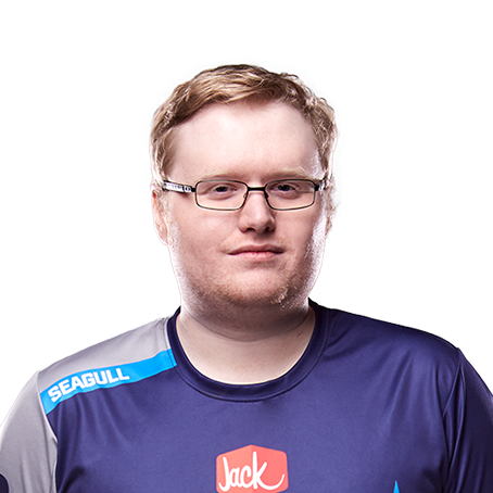 seagull.png