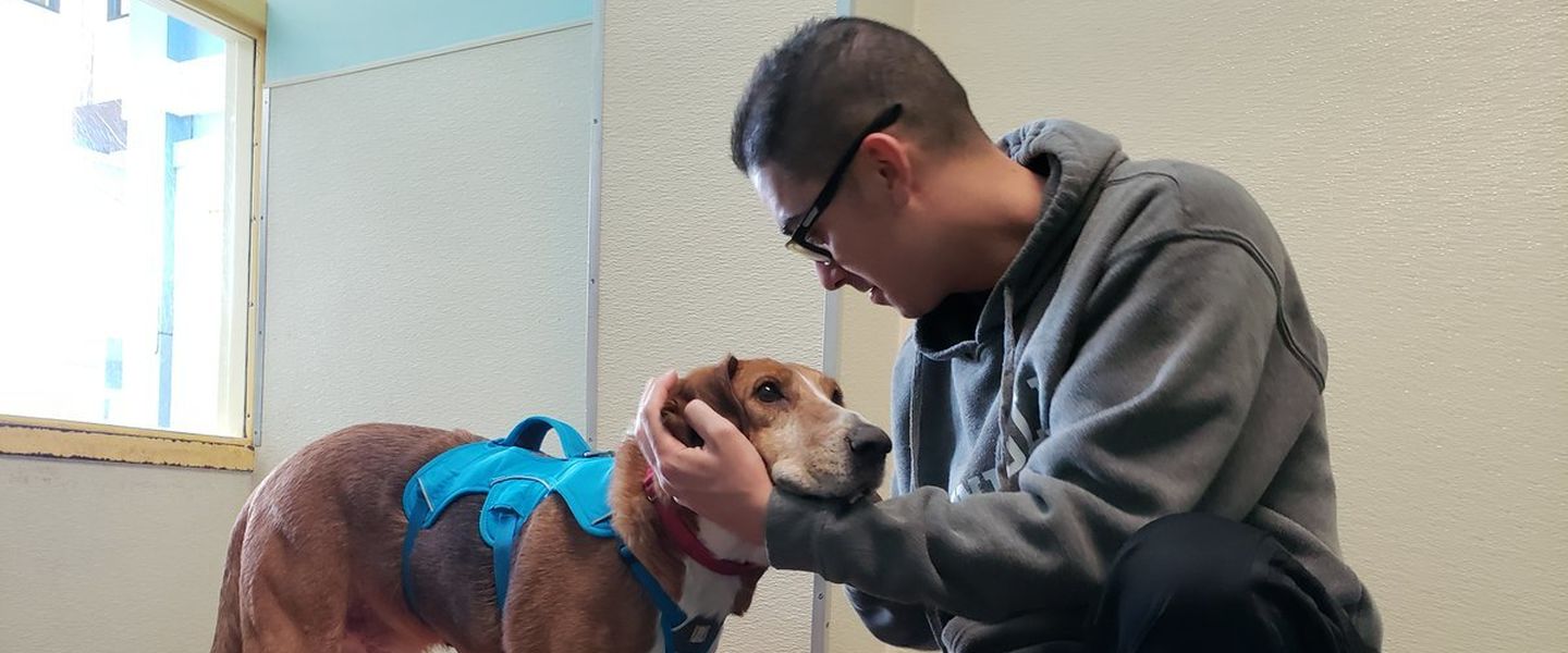 Trick2G subió una foto junto a uno de los animales