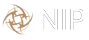NIP