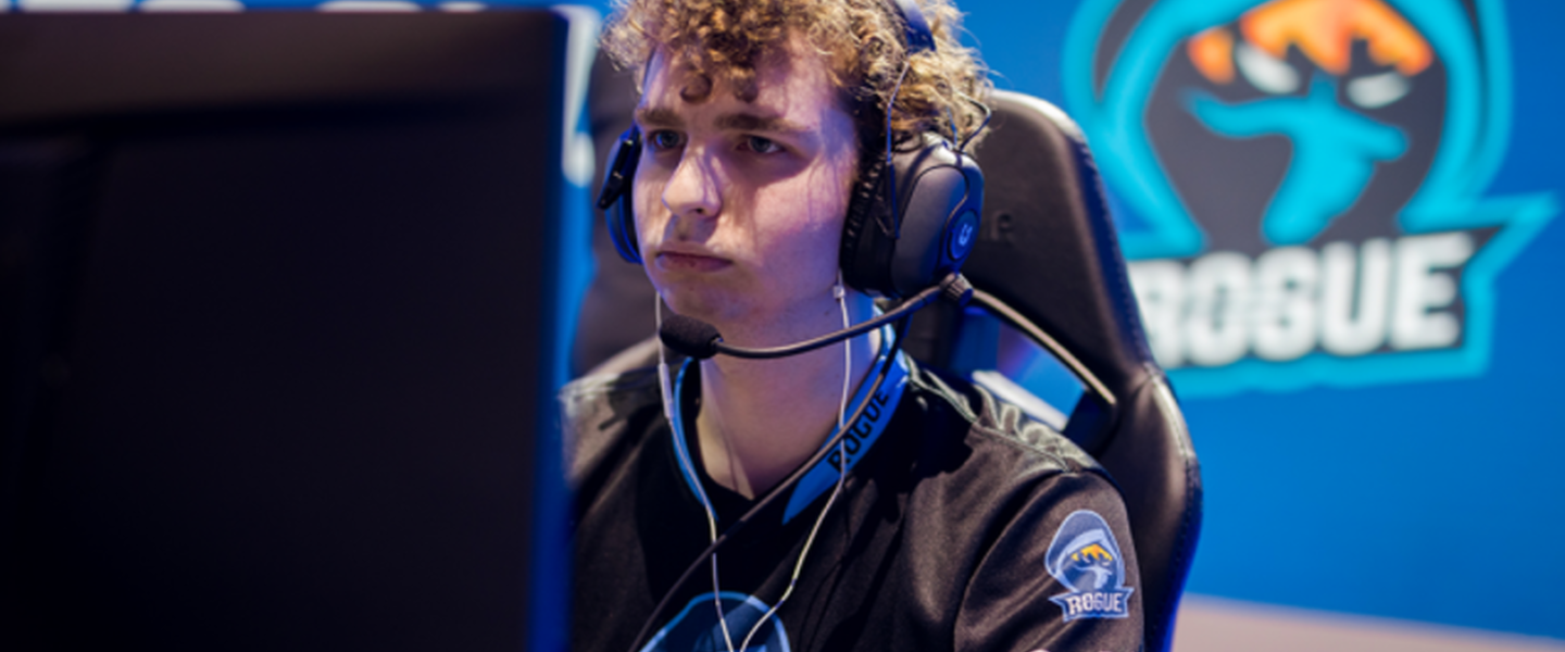 Woolite con Rogue