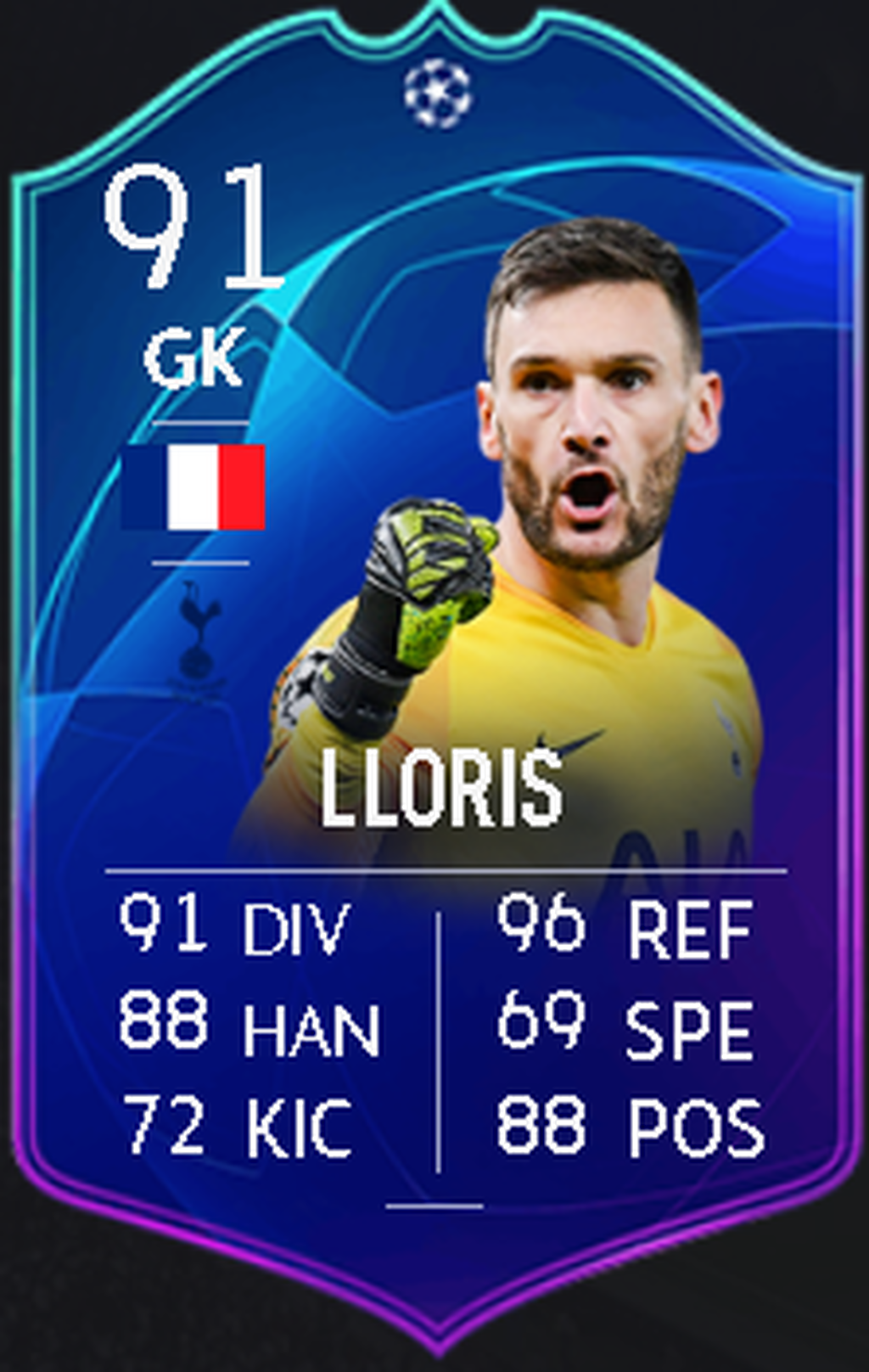 Hugo Lloris