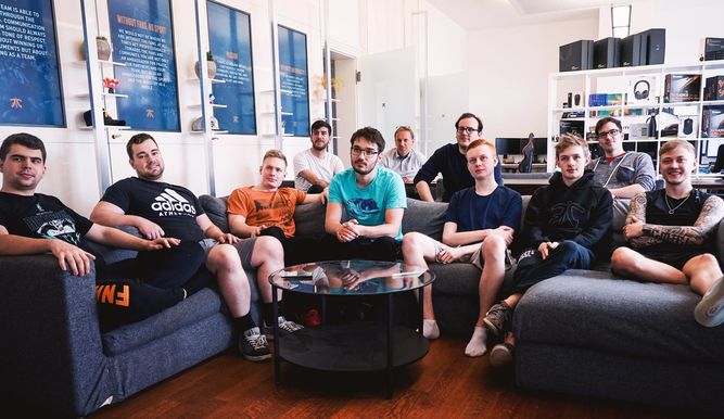 Mapache en Fnatic