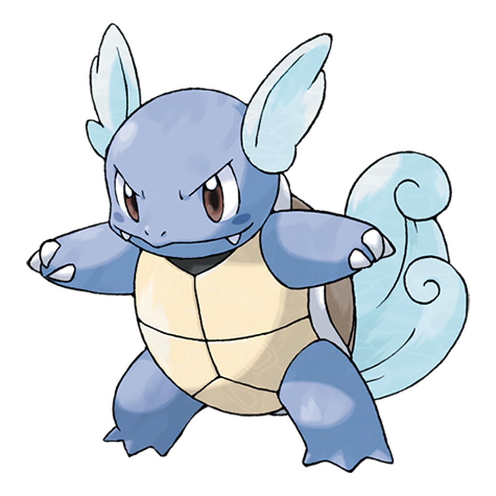008. Wartortle