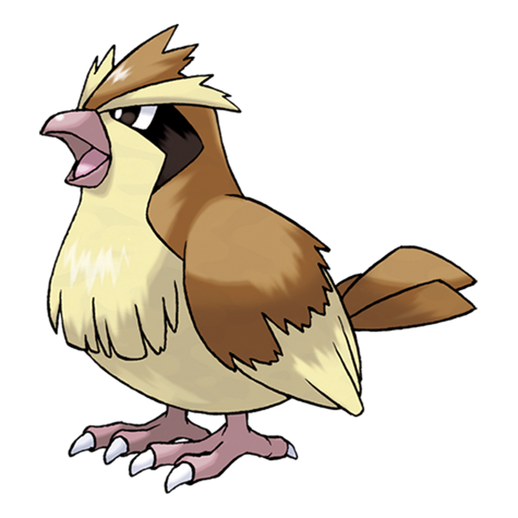 016. Pidgey