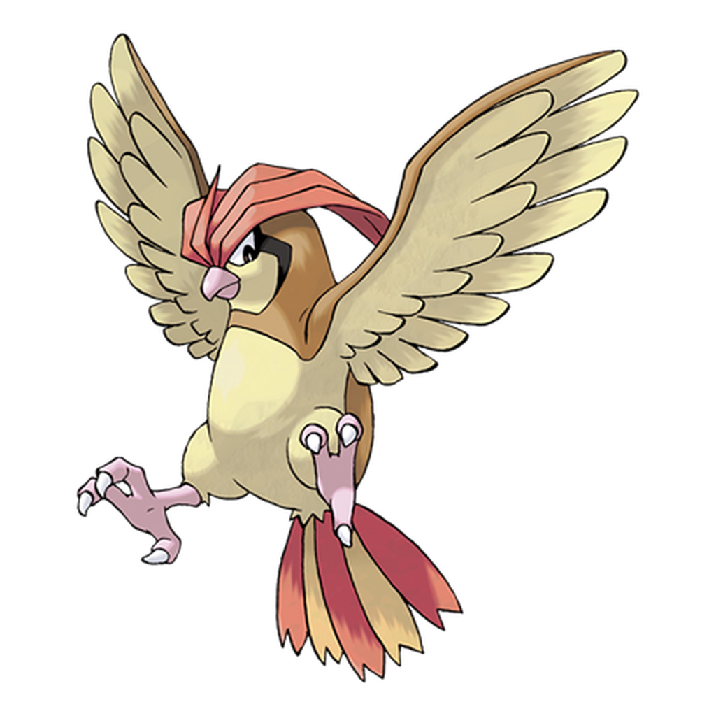 017. Pidgeotto