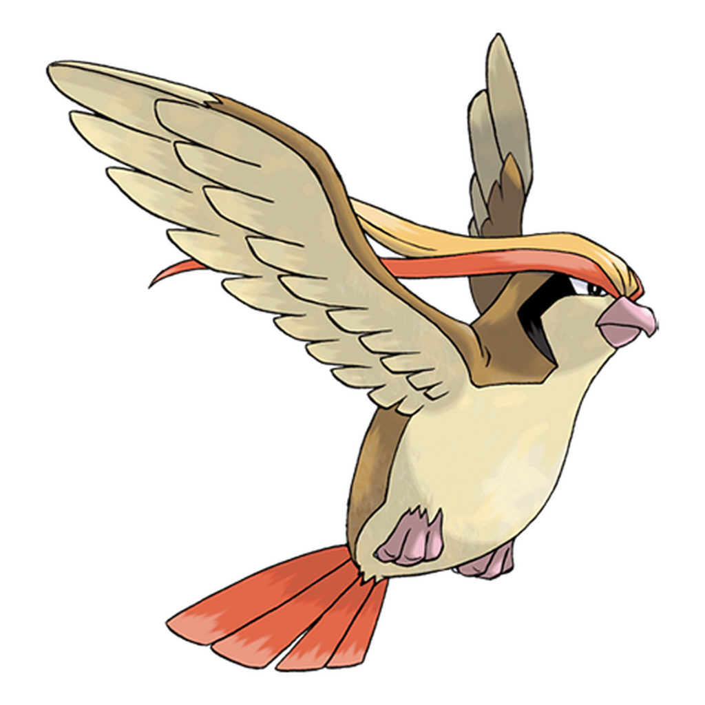 018. Pidgeot