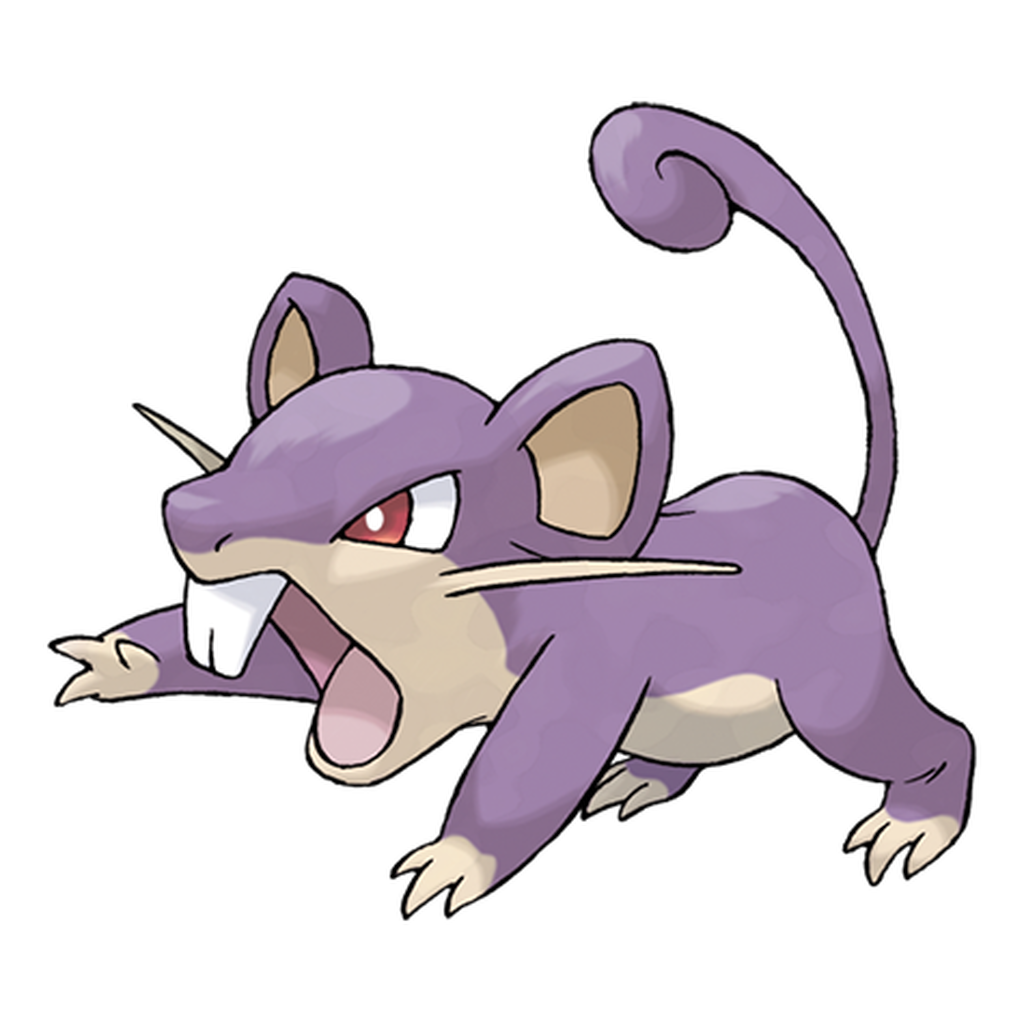 019. Rattata