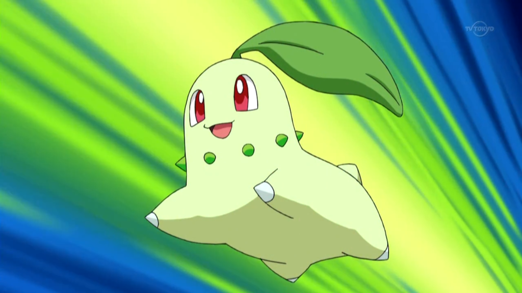 Chikorita
