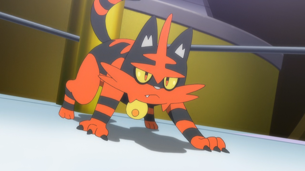 Torracat