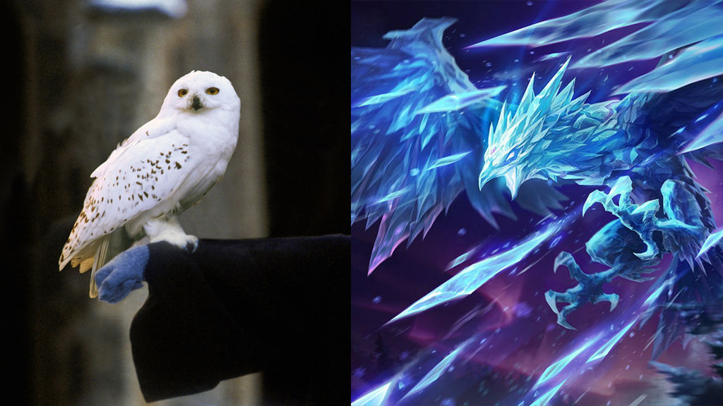 Hedwig - Anivia