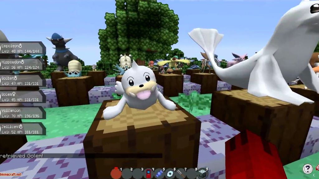 Seel