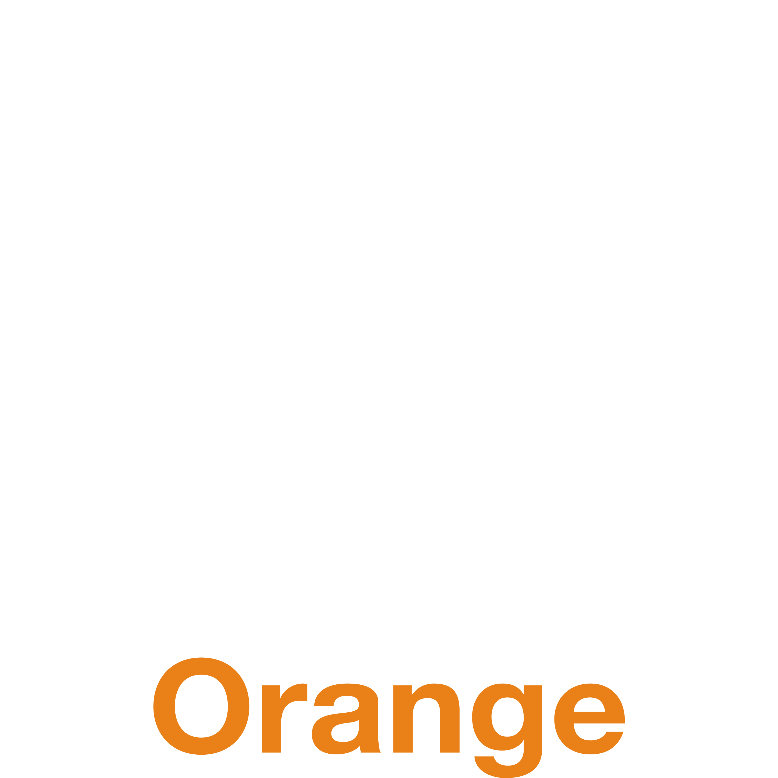 Logo-SLO2020-Ver