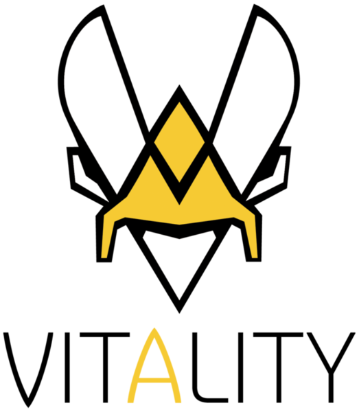 523px-Team_Vitality_2018 (1)