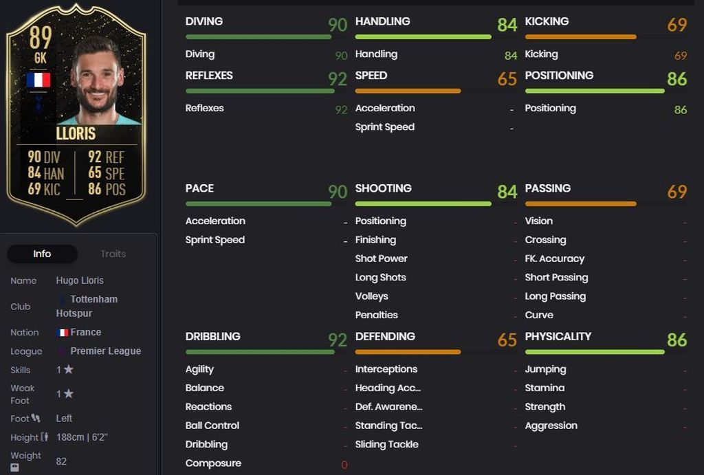 Hugo Lloris (89)
