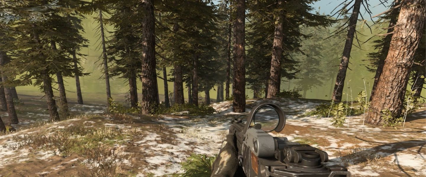 Uno de los bosques de Warzone