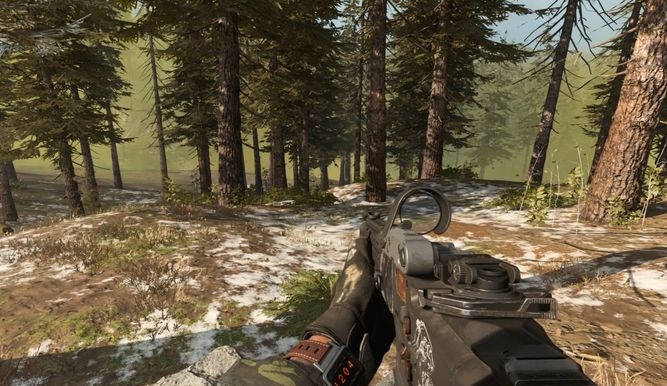Uno de los bosques de Warzone