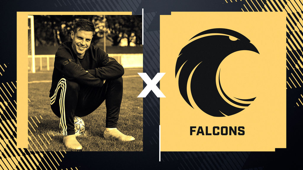 Falcons