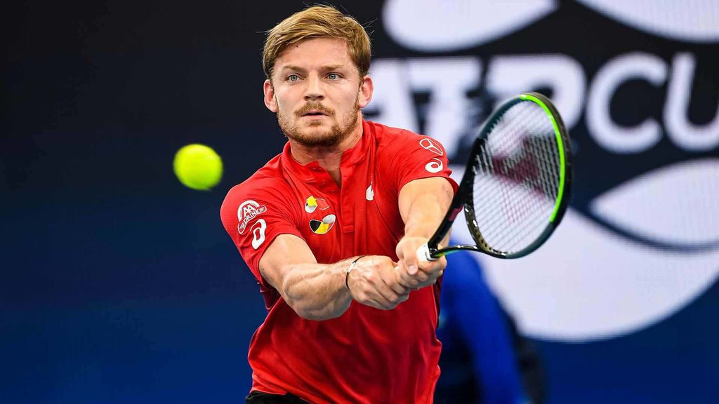 David Goffin