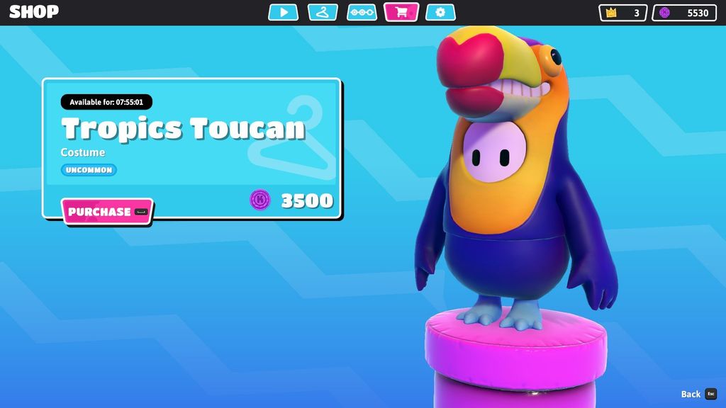 Tropics Toucan