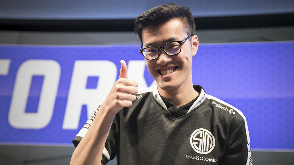 9 finales de Wildturtle