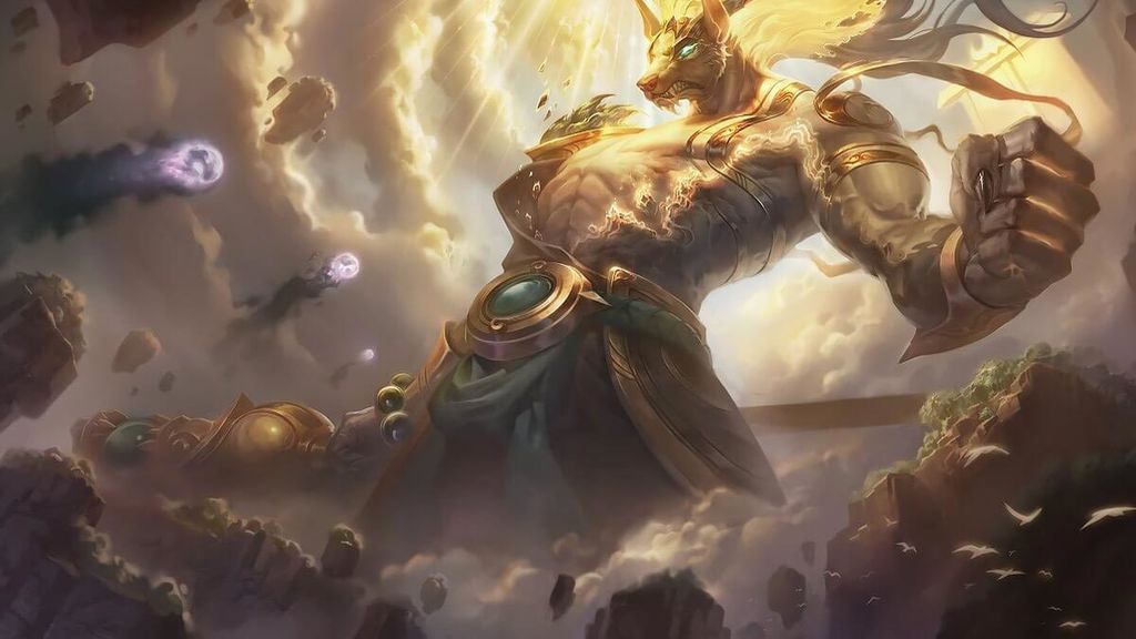 Nasus medio y ADC