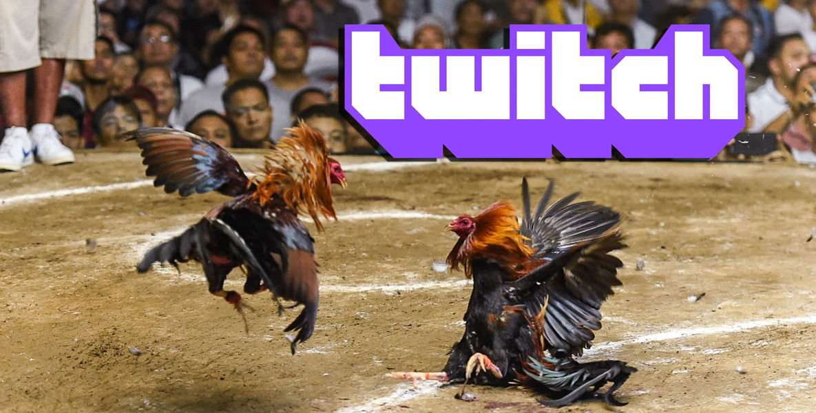 Peleas de gallos ilegales