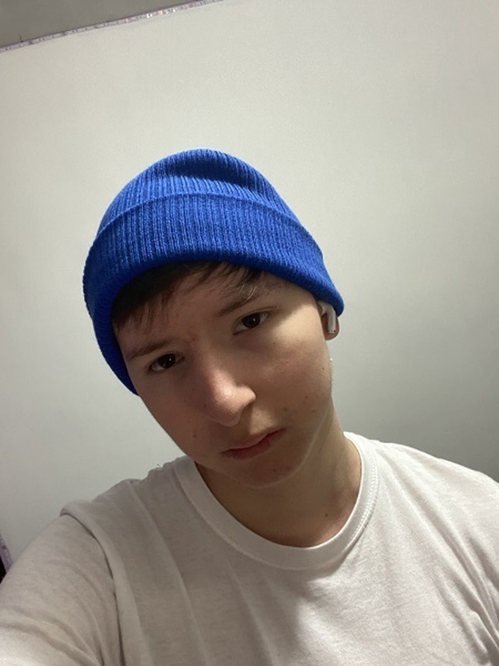 Jelty