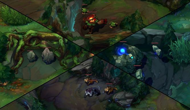 Campamentos de la jungla