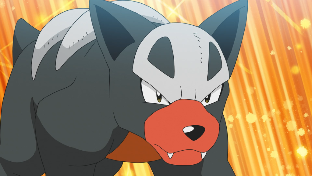 Houndour - Salvaje/Tareas de investigación