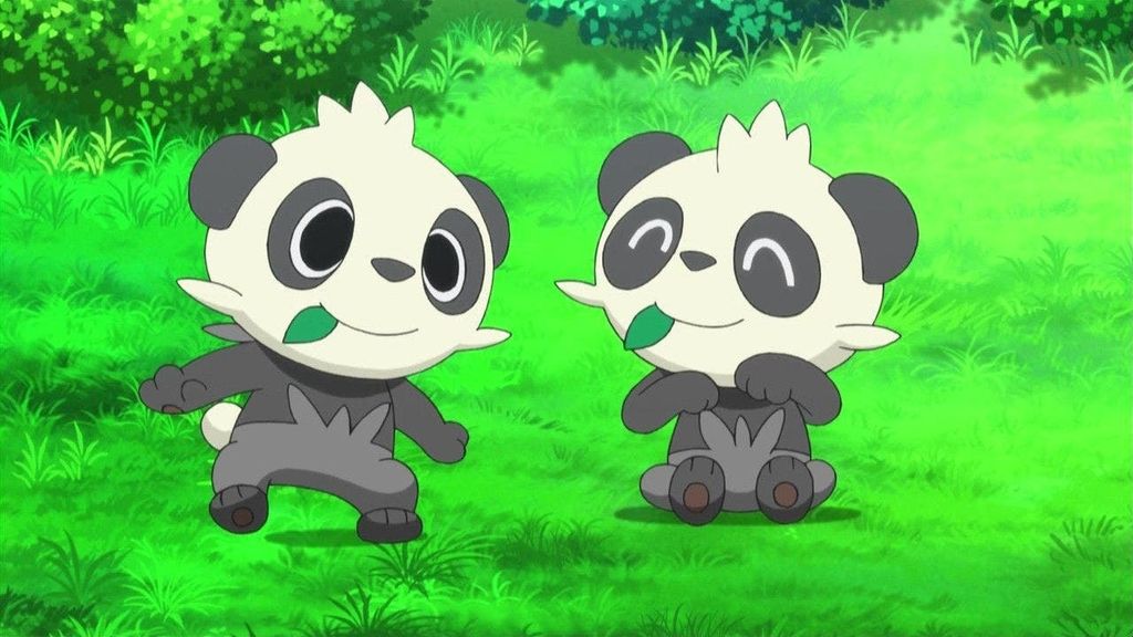Pancham - Huevos de 12