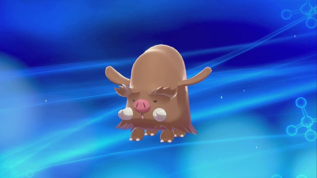 Piloswine - Hemisferio sur