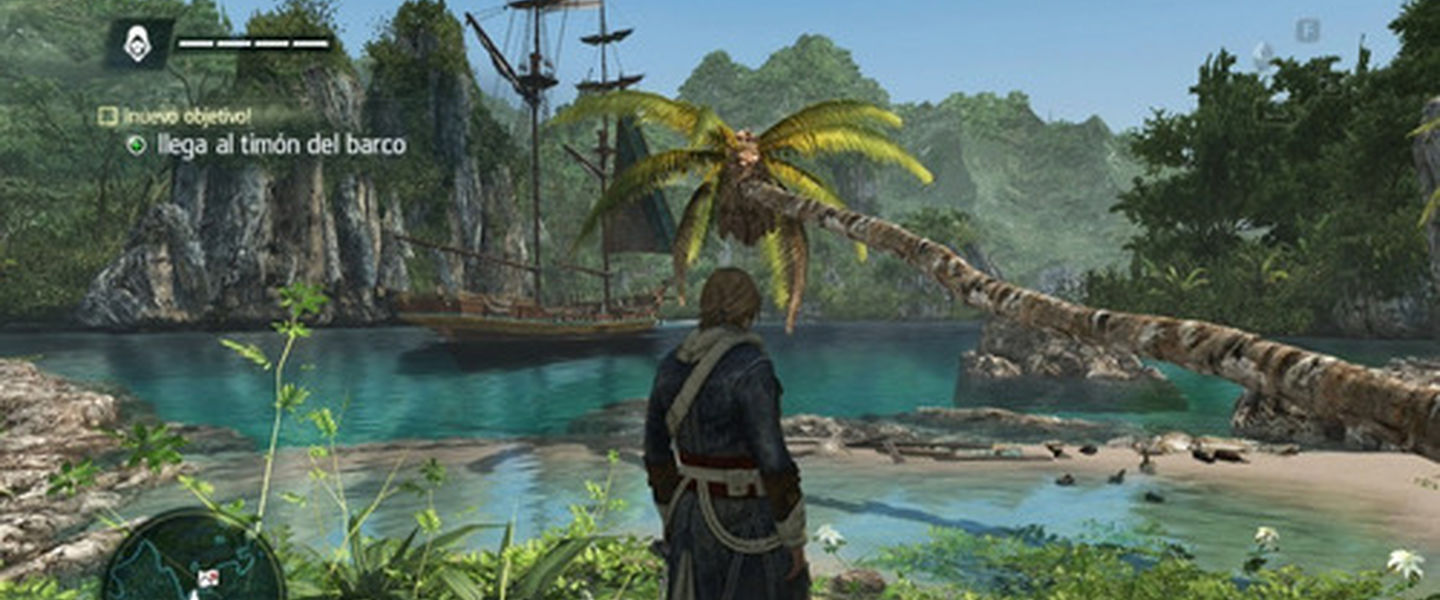 Assasin’s Creed IV: Black Flag