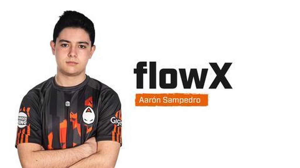 flowX