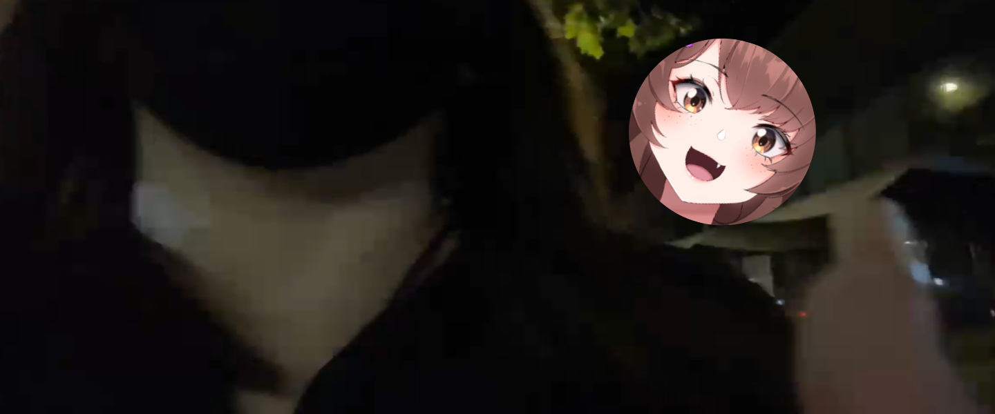 NimuVT y su descuido en un IRL