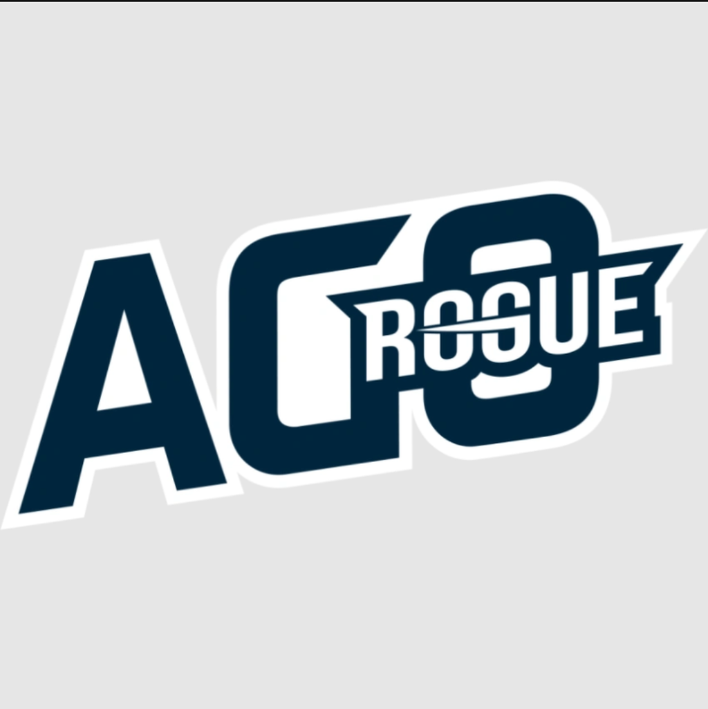 AGO ROGUE - Ultraliga (Polonia)