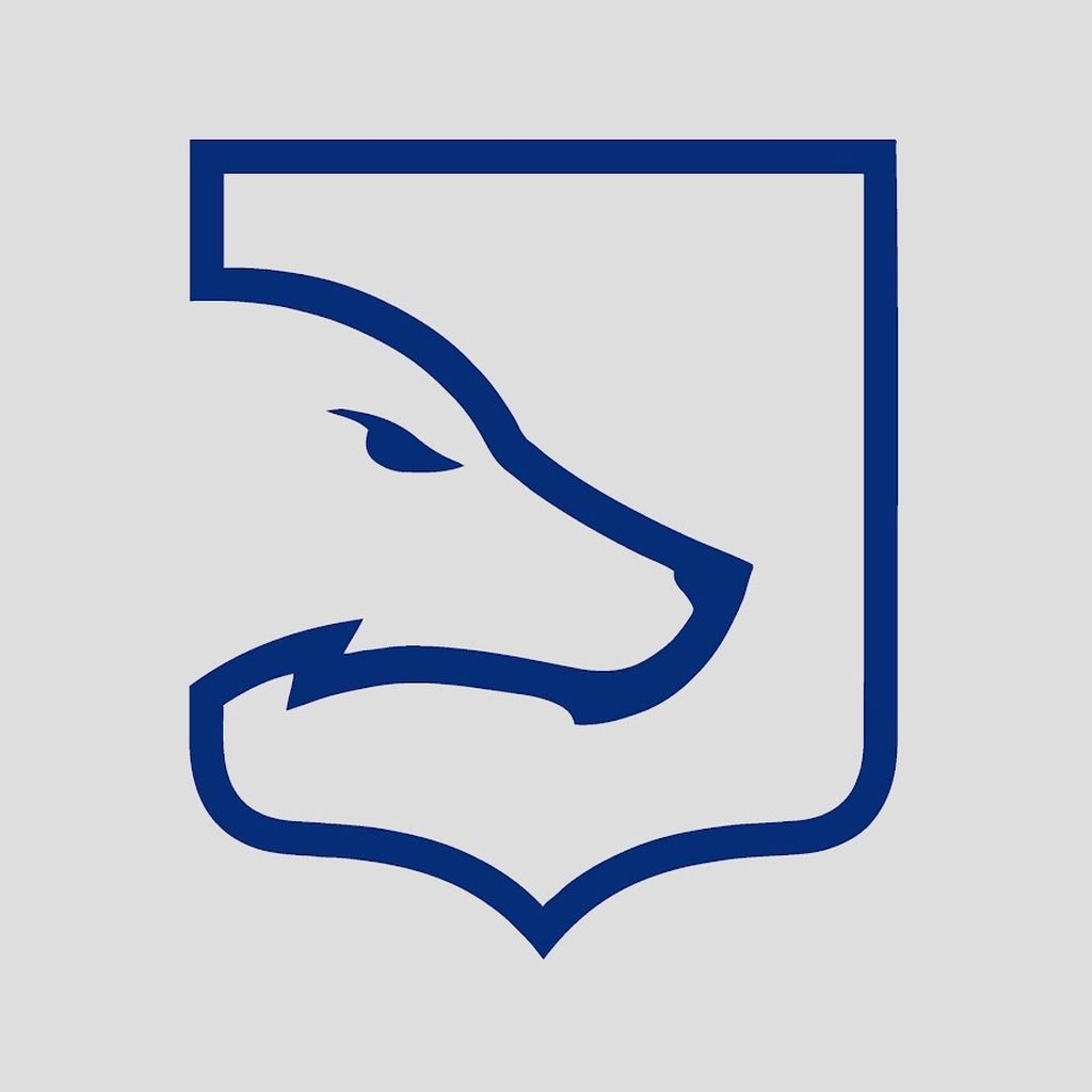 LDLC OL - LFL (Francia)