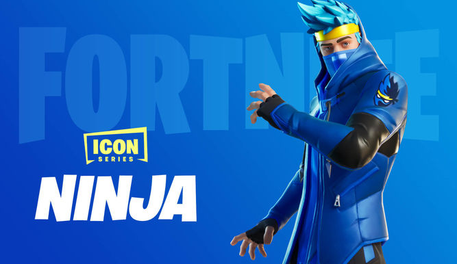 Ninja skin