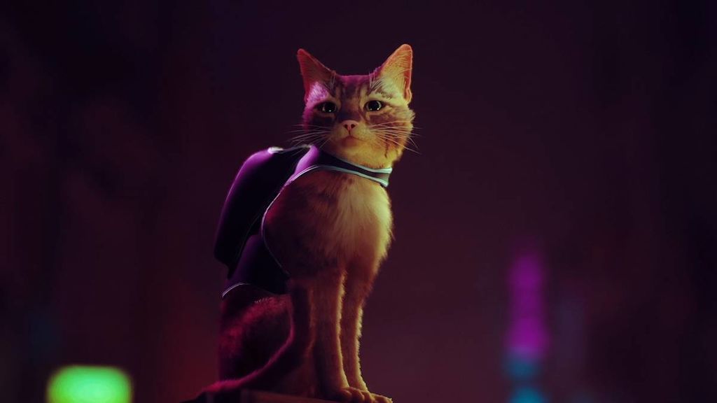 Stray
