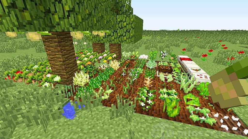 Pam’s HarvestCraft 2
