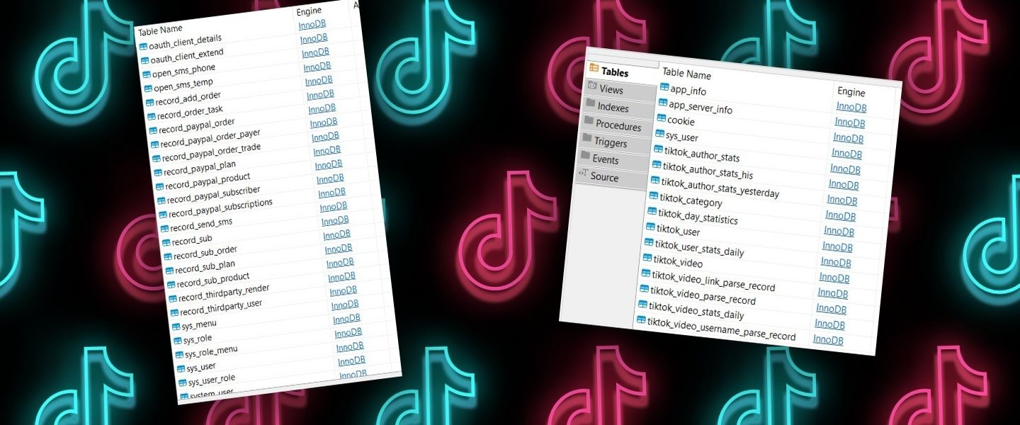 Las imágenes del hackeo a TikTok