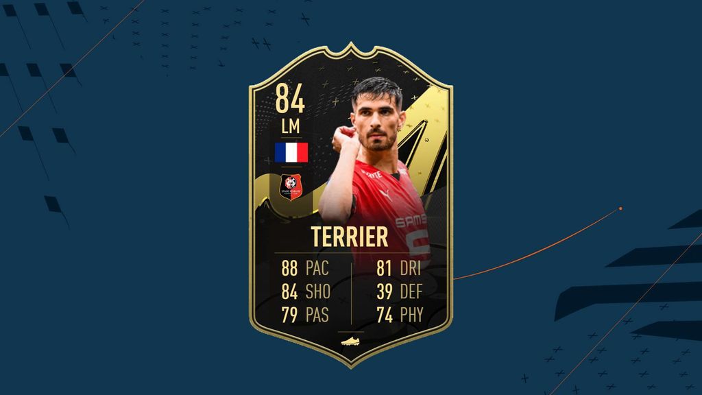 Terrier