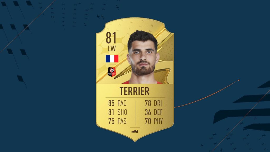Terrier