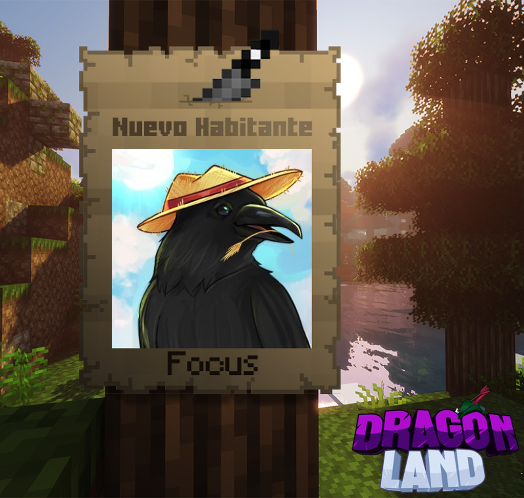 Focus