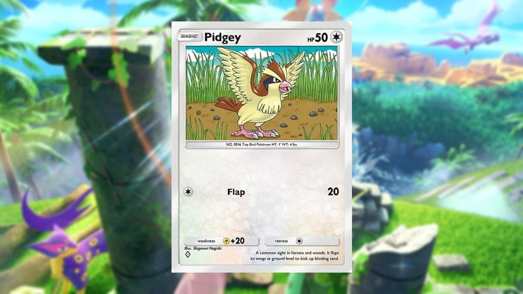 Pidgey
