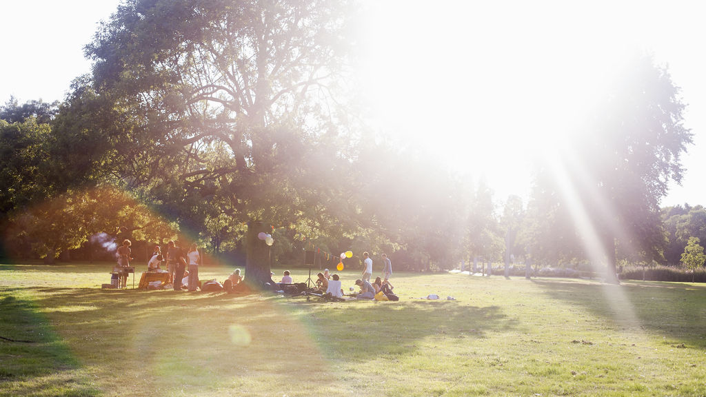 NO ESTÉS EN ZONAS DE SOL DURANTE EL DÍA: ESPERA A LA NOCHE